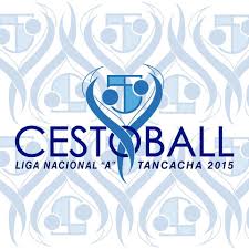 Confederacio Argentina de Cestoball Logo