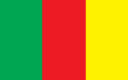 Carlow Flag
