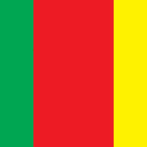 Carlow Flag