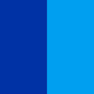 Dublin Flag