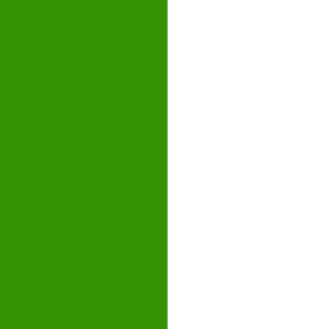 Fermanagh Flag