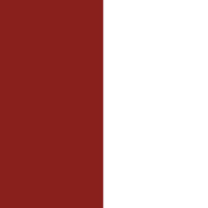 Galway Flag