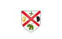 Kildare Flag