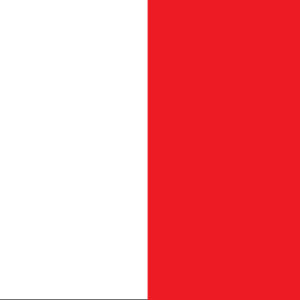 Tyrone Flag