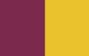 Wexford Flag