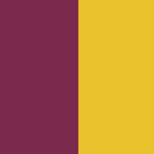 Wexford Flag