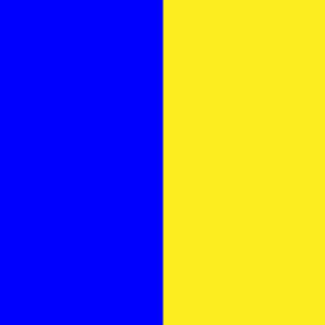 Wicklow Flag