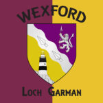 Wexford - Loch Garman Flag