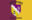 Wexford - Loch Garman Flag