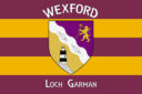 Wexford - Loch Garman Flag