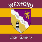 Wexford - Loch Garman Flag
