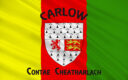 Photo 131894748 | Carlow County Flag © Iratceva | Dreamstime.com