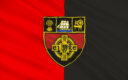 Down Flag
