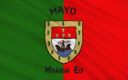 Mayo Flag and Coat of Arms