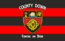 Down - An Dún Flag Stripes