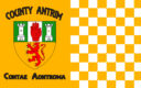 Antrim / Aontroim Flag checkered