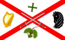 Cill Dara / Kildare Flag