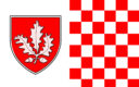 Derry Flag