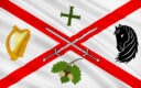 KIldare / Cill Dara Flag