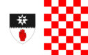 TYrone - Tír Eoghan Flag checkered